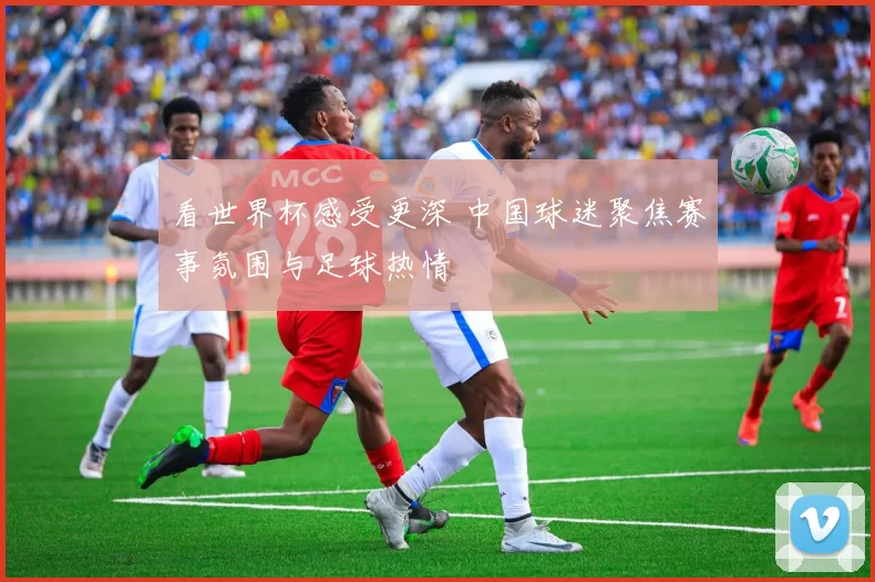 看世界杯感受更深 中国球迷聚焦赛事氛围与足球热情