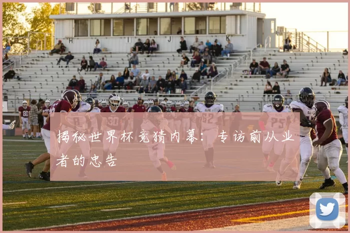 揭秘世界杯竞猜内幕:专访前从业者的忠告