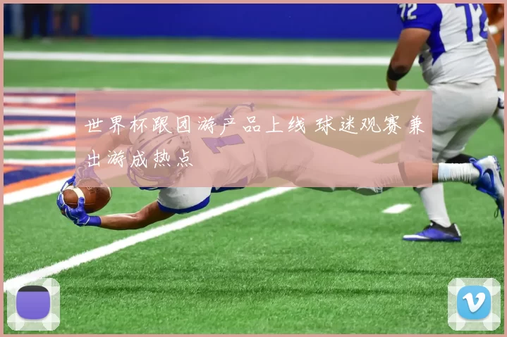 世界杯跟团游产品上线 球迷观赛兼出游成热点