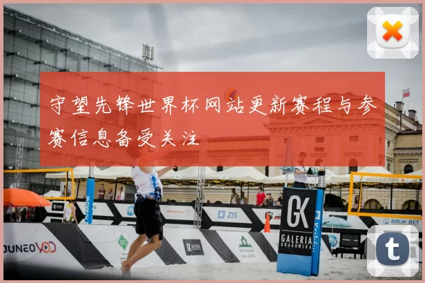 守望先锋世界杯网站更新赛程与参赛信息备受关注