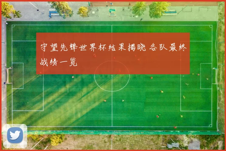 守望先锋世界杯结果揭晓 各队最终战绩一览