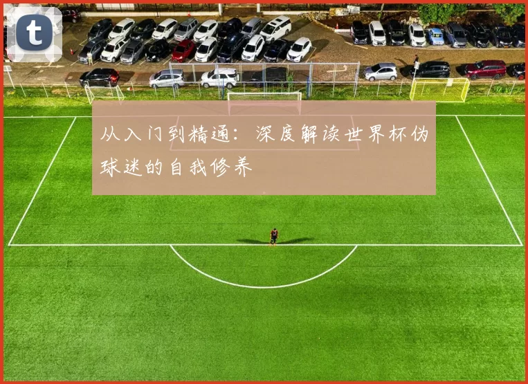 从入门到精通:深度解读世界杯伪球迷的自我修养