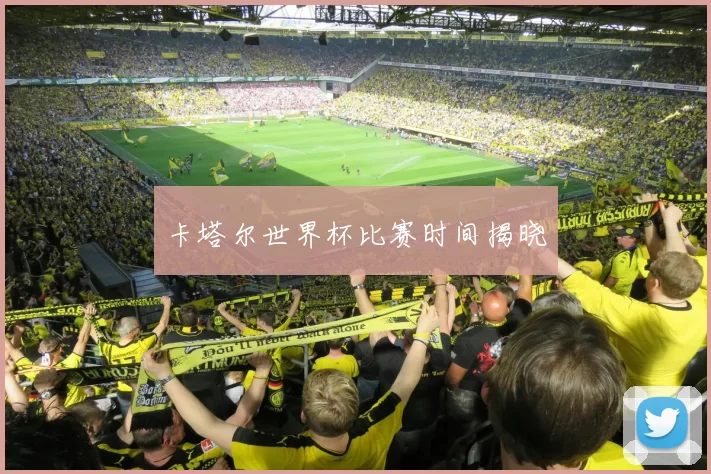 卡塔尔世界杯比赛时间揭晓