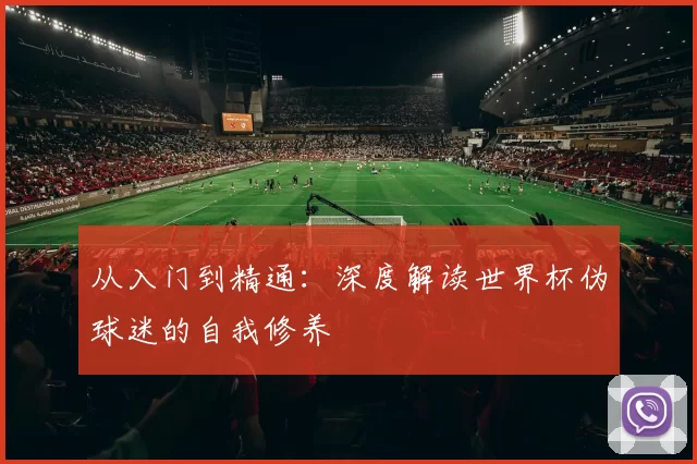 从入门到精通:深度解读世界杯伪球迷的自我修养