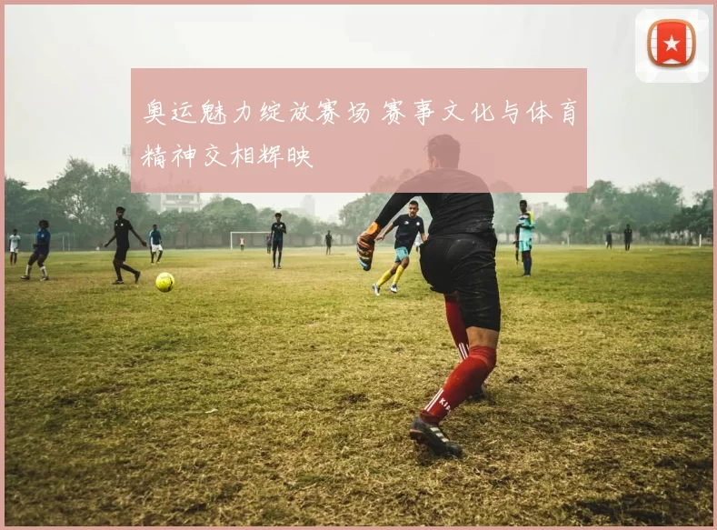 奥运魅力绽放赛场 赛事文化与体育精神交相辉映