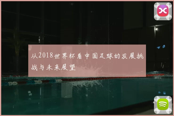 从2018世界杯看中国足球的发展挑战与未来展望