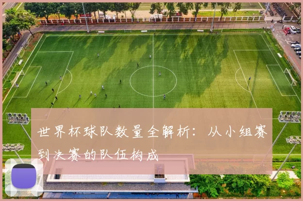 世界杯球队数量全解析:从小组赛到决赛的队伍构成