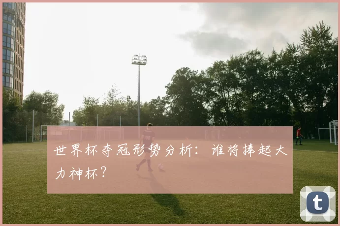 世界杯夺冠形势分析:谁将捧起大力神杯?
