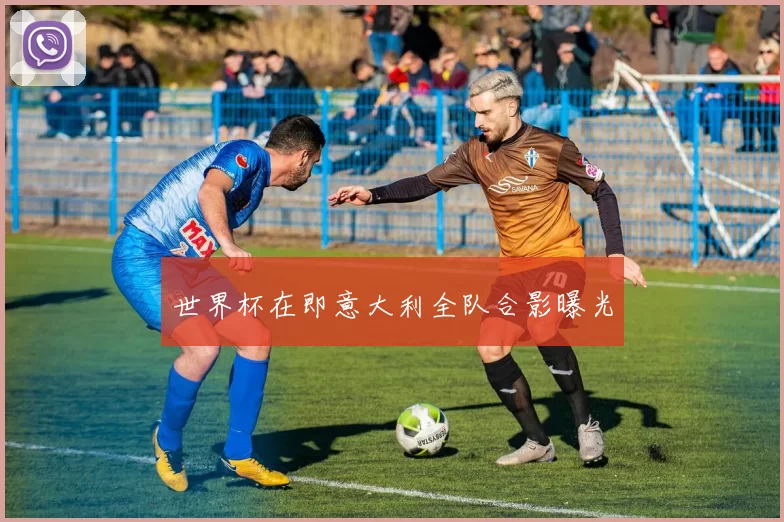 世界杯在即意大利全队合影曝光