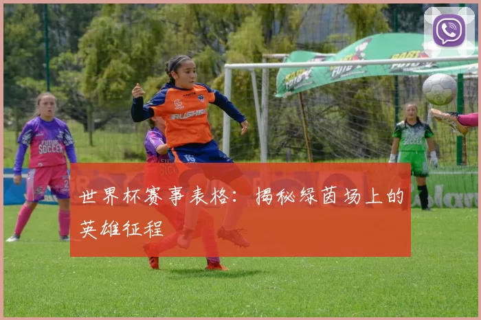 世界杯赛事表格:揭秘绿茵场上的英雄征程