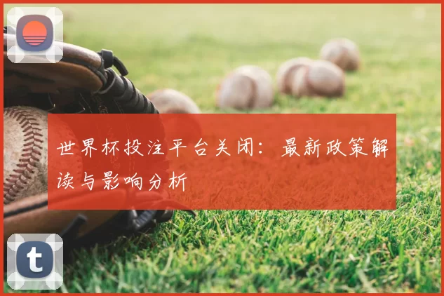 世界杯投注平台关闭：最新政策解读与影响分析