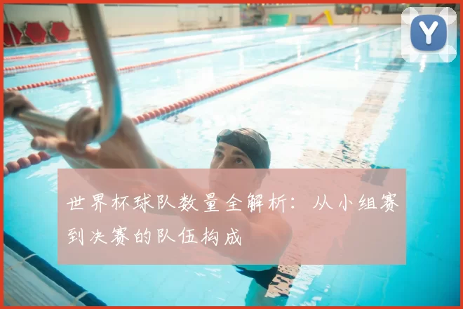 世界杯球队数量全解析:从小组赛到决赛的队伍构成