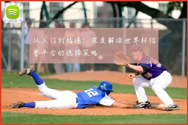 从入门到精通:深度解读世界杯信誉平台的选择策略