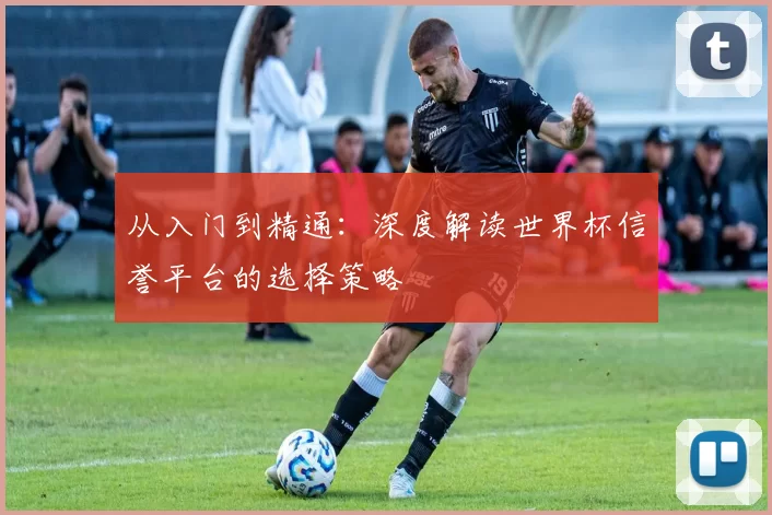 从入门到精通:深度解读世界杯信誉平台的选择策略