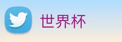 世界杯 Logo